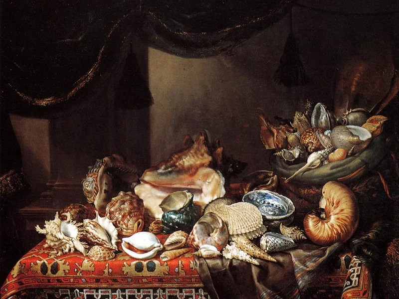 1648-Bartolomeo Bimbi - Conchiglie